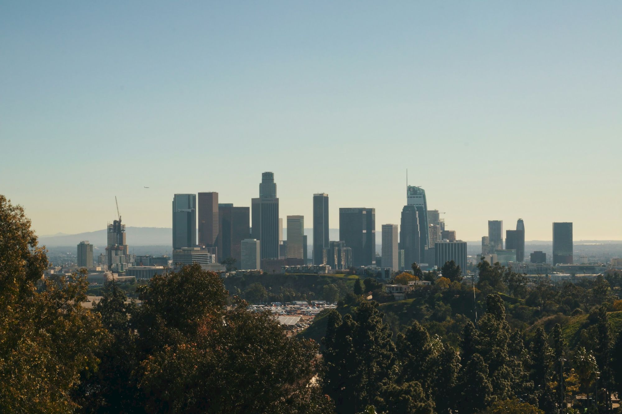 Skyline of a city with modern skyscrapers, trees in the foreground, and a clear sky above the horizon.