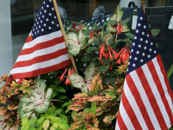 Two American flags are placed in a planter with various green and flowering plants.