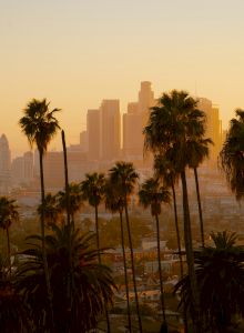 A city skyline with tall buildings and palm trees silhouetted against a golden sunset, creating a warm and serene urban landscape.