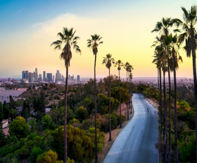 A scenic view of a city skyline with palm trees lining a road at sunset, under a colorful sky with a visible crescent moon.